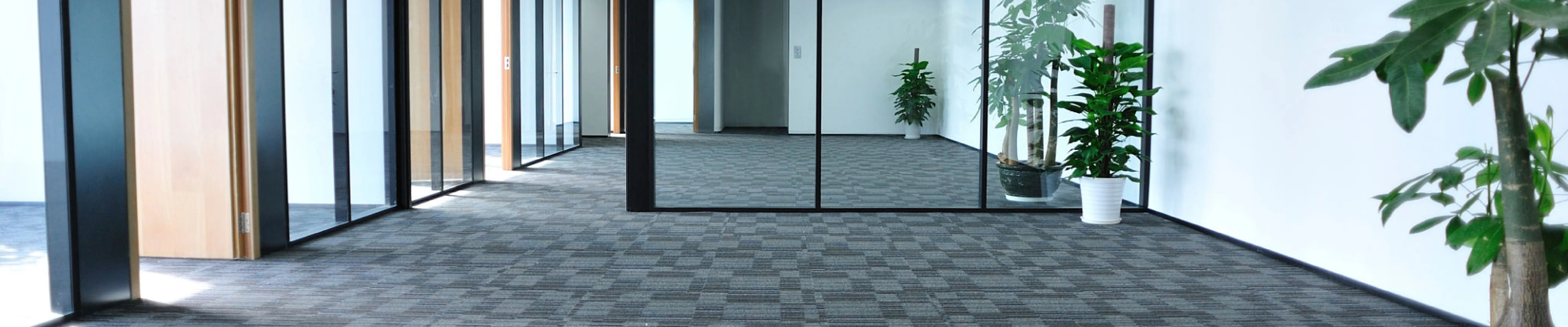 carpet cleaning in brooklyn, carpet cleaning in brooklyn, carpet cleaning brooklyn, carpet cleaners in brooklyn, carpet cleaners in brooklyn, commercial carpet cleaning, commercial carpet cleaning in brooklyn, brooklyn rug cleaners, rug cleaning services in brooklyn, same day carpet cleaning, same day rug cleaning